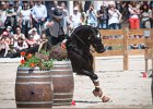 Pferd International 090